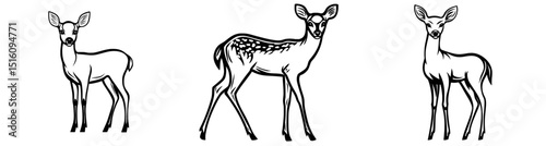 A modern illustration of a wild stag is depicted in a hand drawn black ink sketch of a Sika deer baby isolated on white background, with a vintage engrave of a young deer