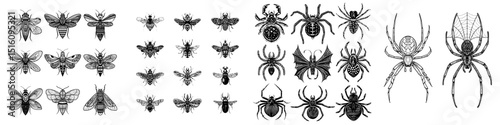Minimalist black and white illustrations of spiders are presented in the Black and White Spider Illustrations set, which highlights their intricate structure through clean lines and detailed designs