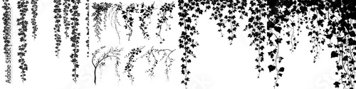 Modern frames are accentuated by the silhouettes of isolated ivy lianas, which adorn border lines and corners in a vertical manner, accompanied by black vines of creeper plants, hanging branches, and
