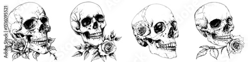 A dark and eerie scene features a skull adorned with a rose, where the skull is depicted in black and white and the rose in red