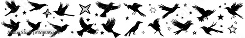 The abstract crayon collection of birds and doves showcases a modern black ink hand-drawn illustration with a simple naive style, blending Matisse's trendy minimalism with a rough texture and