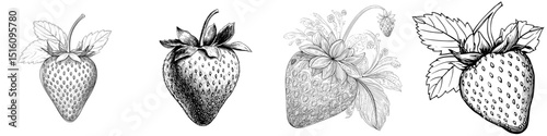 A modern strawberry design is shown in isolation on a white background, depicted in black and white