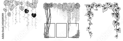 Tropical jungle forest branches, Liana vine, and leaves like monstera or ivy are surrounded by modern border frames and climbing plants from the rainforest