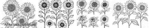 The sunflower modern set features a flower graphic illustration, a plant drawing in line art style, and a flower sketch painted with black inks