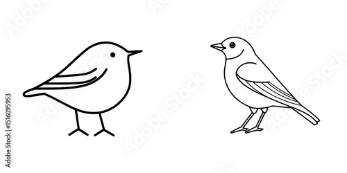 A hand drawn sketch of a robin bird is shown in isolation on a white background