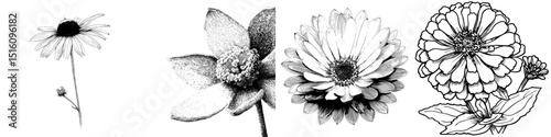 A flower with a yellow center is depicted in a black and white drawing