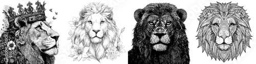 A detailed, hand-drawn vintage lion engraving that is suitable for use in both tattoo and product design