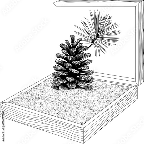 An artistic exploration awaits in the uniquely designed engraved illustration of a vintage wooden box containing a pine cone set atop a layer of sand