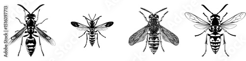 Modern illustration of a wasp in black and white silhouette on a white background