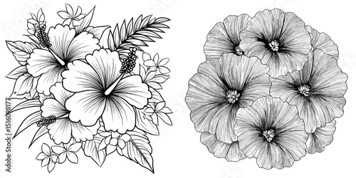 A modern illustration depicting a coconut in black and white with leaves and detailed designs