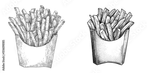Modern illustration featuring a detailed monochrome sketch of French fries packaged in a paper box