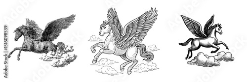 A flying pegasus is shown in a line art illustration, a mythical winged horse set amidst clouds in monochrome outline