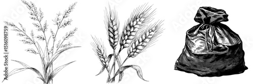 Black and white outline of a sack of wheat created as a sketch engraving with a scratch board imitation