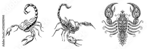 Modern hand drawn illustration background featuring a scorpion in line art drawing ink sketch