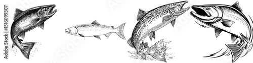 A powerful salmon is showcased in profile through a bold monochrome line art illustration, highlighting its streamlined body and sharp fins