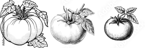 Simple illustration of a tomato for a farm-to-table eatery's branding, nutritional information, and recipe card imagery