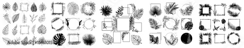 Tropical rain forest palms, monstera leaves, and fern tendrils are framed in square and round jungle liana settings