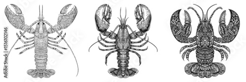 Modern illustration featuring a lobster created with detailed black and white line art and intricate designs