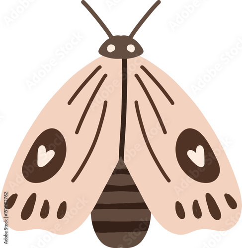 moth isolated on white background