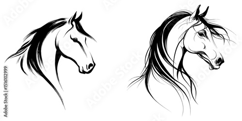 The inherent grace of a horse is beautifully captured in a striking, monochrome illustration of its head, defined by clean lines