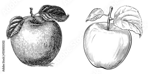Modern illustration of a red apple accompanied by a leaf, created as a digital sketch drawing
