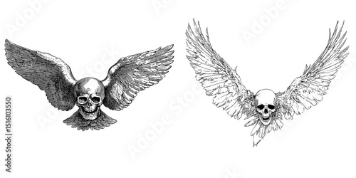 A hand-drawn illustration featuring a winged skull, created in a vintage manner, is displayed