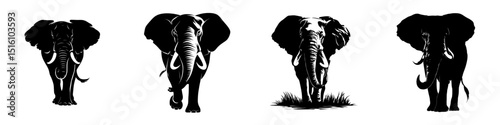 This image depicts the silhouette of an elephant in black, complete with tusks and a trunk, symbolizing power, the wild, and the natural world, all presented in a modern clipart style