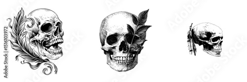 An intricate illustration of a skull in black and white, adorned with a feather accent