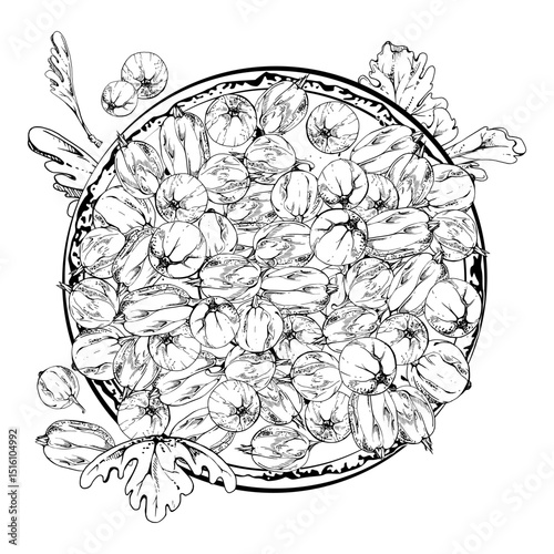 Gooseberry Currant berries leaves on ceramic dish, hand drawn in vector ink, ripe picked harvest, lingonberry huckleberry. Isolated illustration. Restaurant cafe menu, cookbook, farmers market grocery