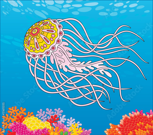 Big jellyfish with long stinging tentacles drifting over a colorful coral reef in blue water of a tropical sea, vector cartoon illustration
