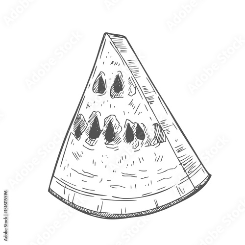 Watermelon slice isolated on white background. Hand-drawn ink illustration in retro engraving style. Detailed vector drawing.