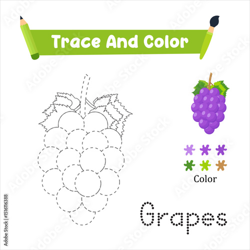 Handwriting Practice. Trace And Color The Grapes Which Is Perfect. Vector Illustration