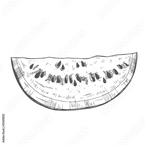 Hand drawn vector illustration watermelon slice with seeds.