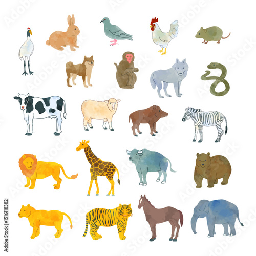 水彩風動物イラストセット