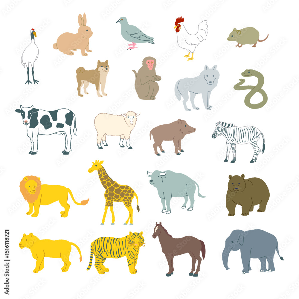 Fototapeta premium 動物イラストセット：ベクター