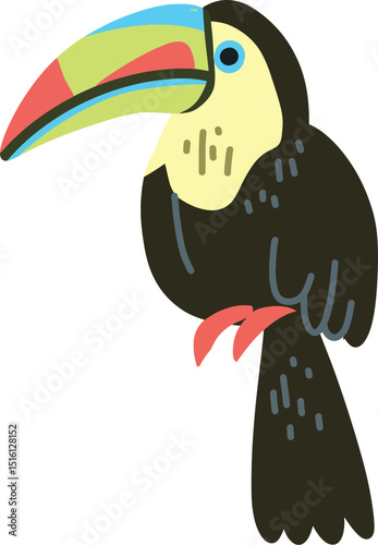 toucan bird isolated on white background