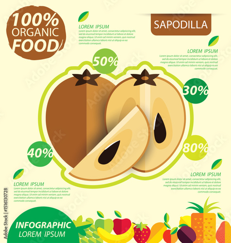 Sapodilla fruit. Infographic template. vector illustration.