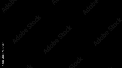 Animated Hand and Tick Linear Icon Decision Making, Provide Support, Palm with Checkmark HD Video with Alpha Channel on Transparent Background Outline Motion Graphic Animation