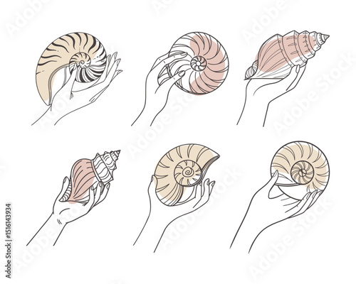 Set of hand drawn seashells in hands. Hands holding seashells. Outline sketch illustration.