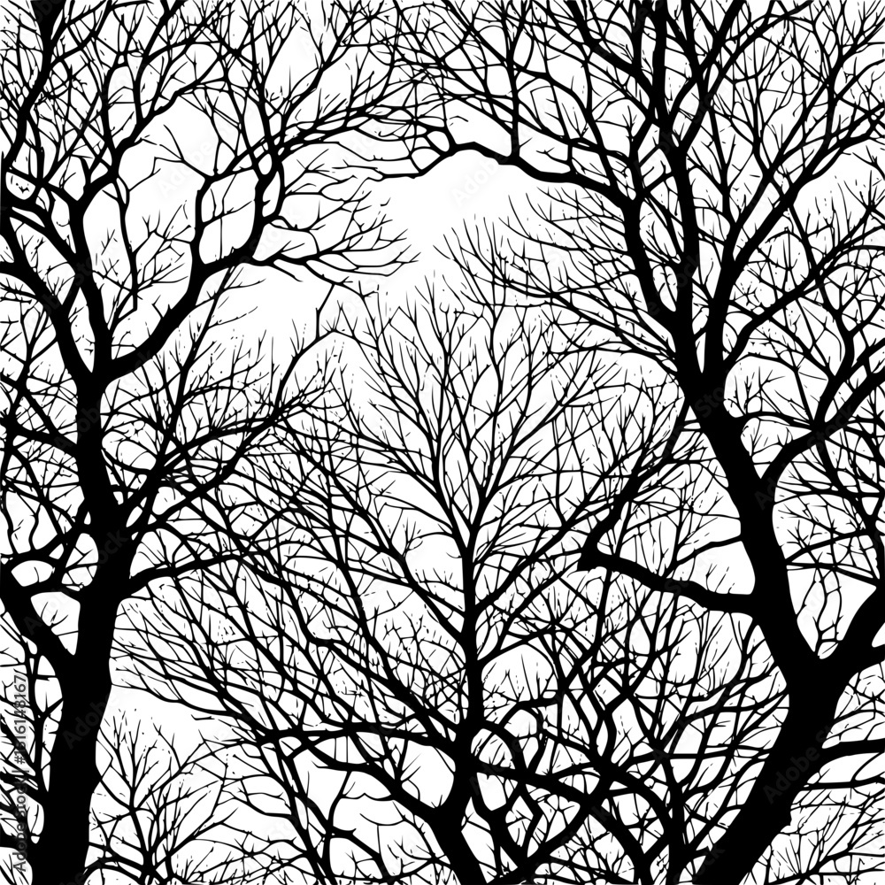 Fototapeta premium Autumn tree silhouette against a dusky evening sky