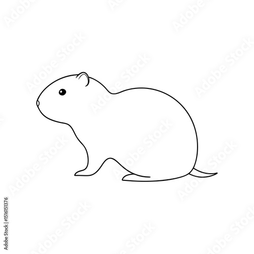 Afghan Vole Microtus Afghanus A Small Rodent Species On A White Backdrop
