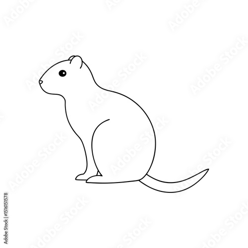 Alashan Ground Squirrel Spermophilus Alashanicus On A Simple White Backdrop