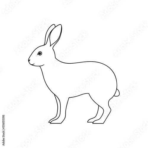 Alaskan Hare Lepus Othus A Large Tundra Species On A White Background