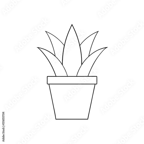 Soothing Aloe Vera Plant With Green Leaves On A Simple White Background