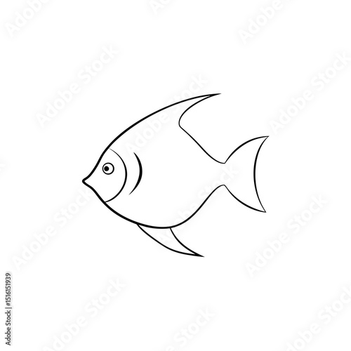 Freshwater Angelfish Species Illustration For An Aquarium Hobbyist Graphic