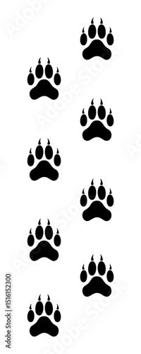 Tiger Paw Prints Isolated on White Background – Pet Footprint Trail Vector