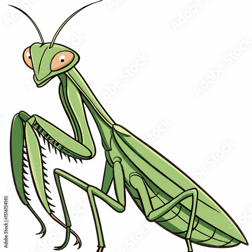 praying mantis vector