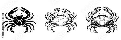 set of vintage crab vector illustrations, crustacean marine animal for seafood and zoology concepts
