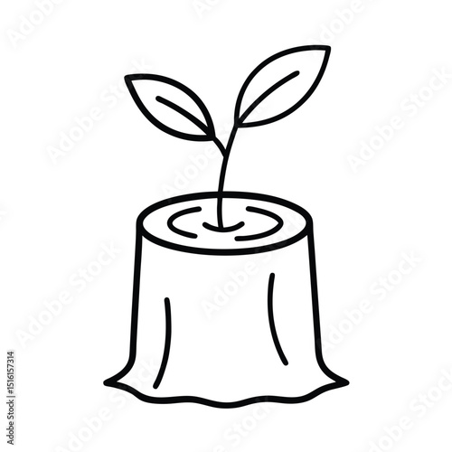 tree stump leaf sprout