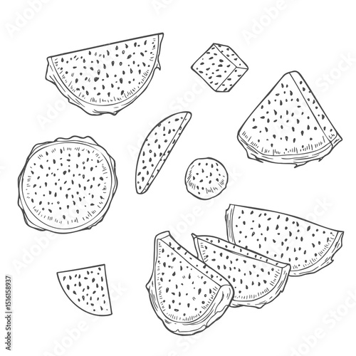 Piece of dragon fruit. Pitaya ink sketch isolated on white background. Hand drawn vector illustration.